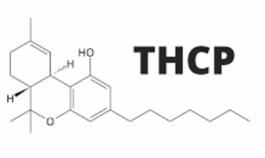 Мощното канабиноидно действие на THCP главите